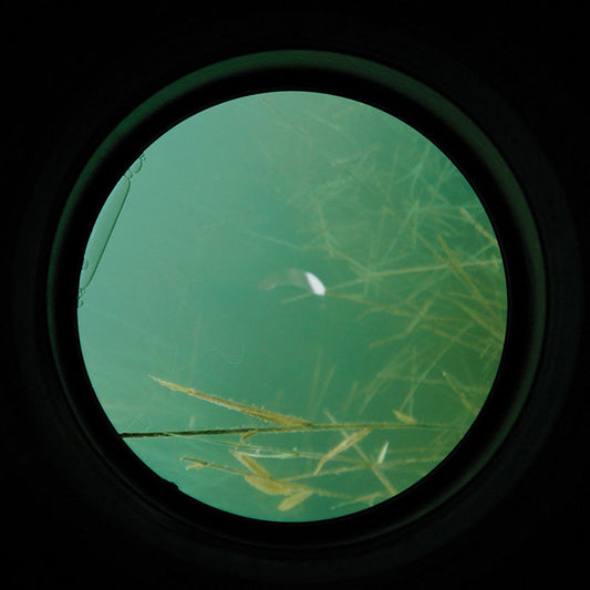 Carp Spirit Water Viewer