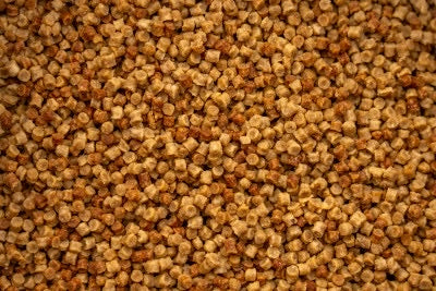 Mainline Match SK Pellets