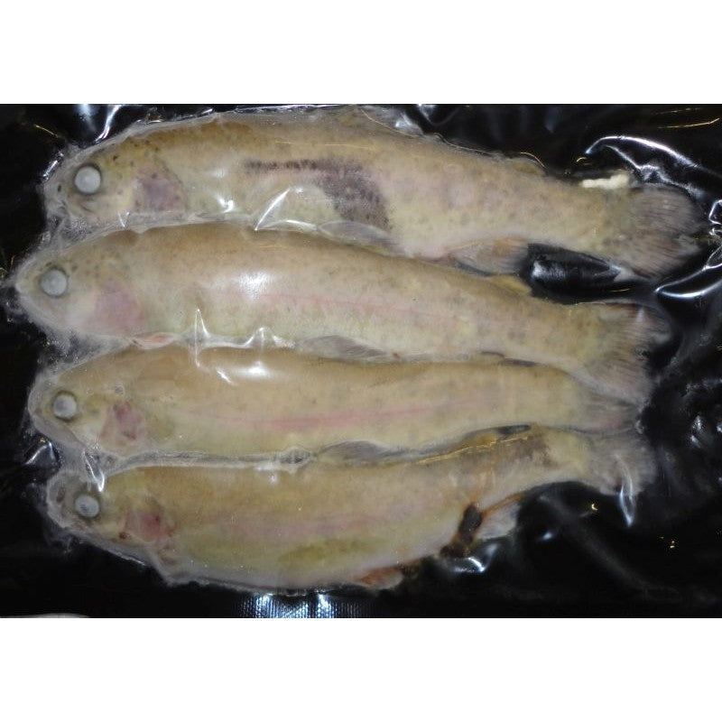 Frozen Trout (In Store Collection Only)