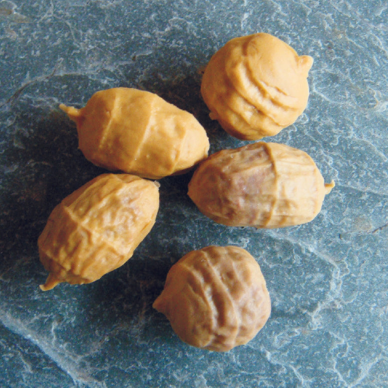 Enterprise Imitation Sinking Tiger Nuts