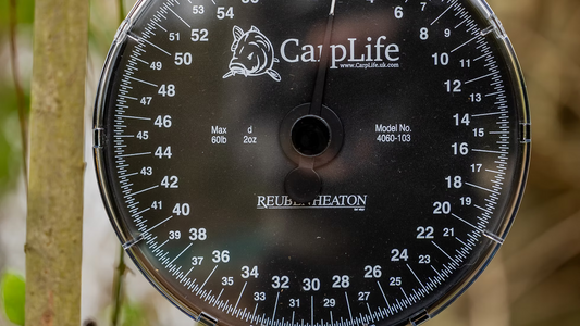 CarpLife Carp Scales & Eclipse Camo Scales Pouch