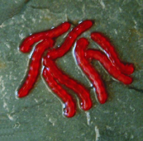 Enterprise Tackle Artificial Bloodworm